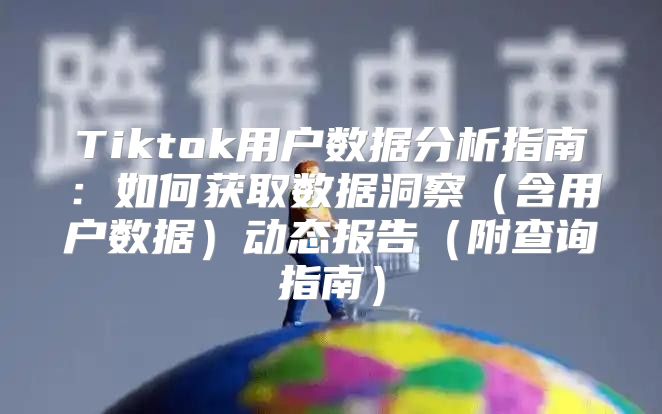 Tiktok用户数据分析指南：如何获取数据洞察含用户数据动态报告附查询指南