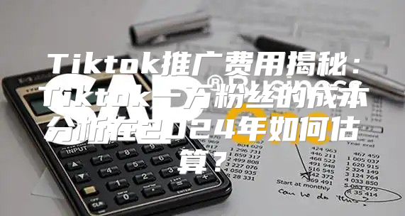 Tiktok推广费用揭秘：Tiktok一万粉丝的成本分析在2025年如何估算？