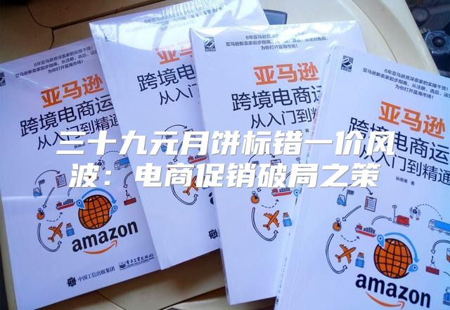 三十九元月饼标错一价风波：电商促销破局之策