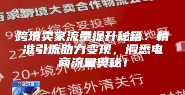 跨境卖家流量提升秘籍：精准引流助力变现，洞悉电商流量奥秘！