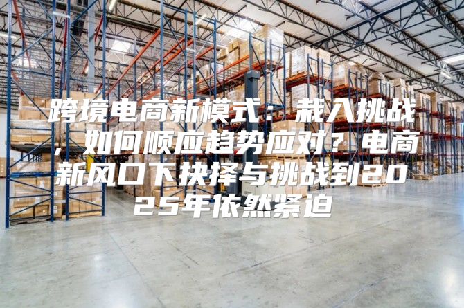 跨境电商新模式：栽入挑战，如何顺应趋势应对？电商新风口下抉择与挑战到2025年依然紧迫
