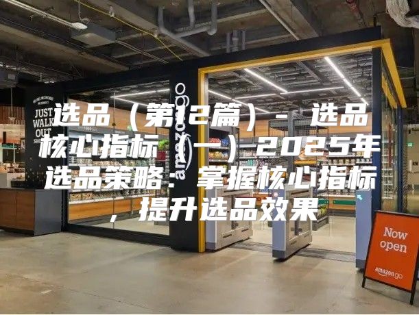 选品第12篇- 选品核心指标一2025年选品策略：掌握核心指标，提升选品效果