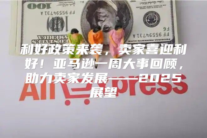 利好政策来袭，卖家喜迎利好！亚马逊一周大事回顾，助力卖家发展——2025展望