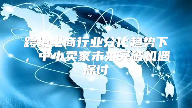 跨境电商行业分化趋势下，中小卖家未来突破机遇探讨