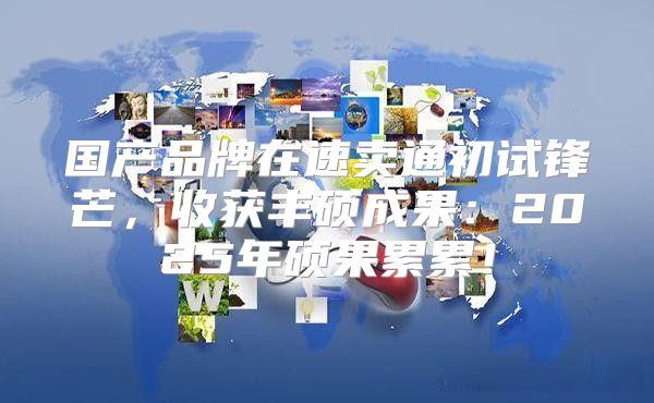 国产品牌在速卖通初试锋芒，收获丰硕成果：2025年硕果累累！