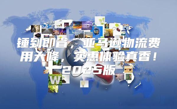 锤到即省，亚马逊物流费用大降，实惠体验真香！2025版