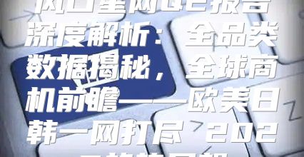 风口星网Q2报告深度解析：全品类数据揭秘，全球商机前瞻——欧美日韩一网打尽 2025趋势展望