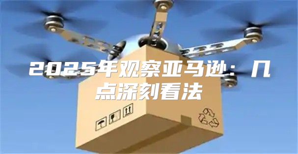 2025年观察亚马逊：几点深刻看法