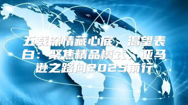 五载深情藏心底，渴望表白：聚焦精品模式，亚马逊之路向2025前行