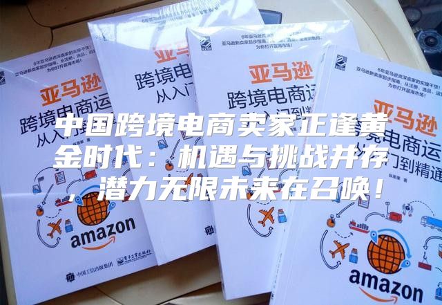 中国跨境电商卖家正逢黄金时代：机遇与挑战并存，潜力无限未来在召唤！