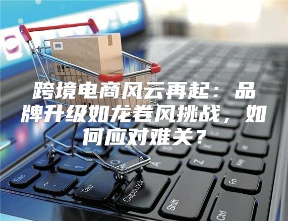 跨境电商风云再起：品牌升级如龙卷风挑战，如何应对难关？