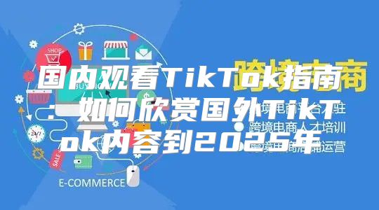 国内观看TikTok指南：如何欣赏国外TikTok内容到2025年