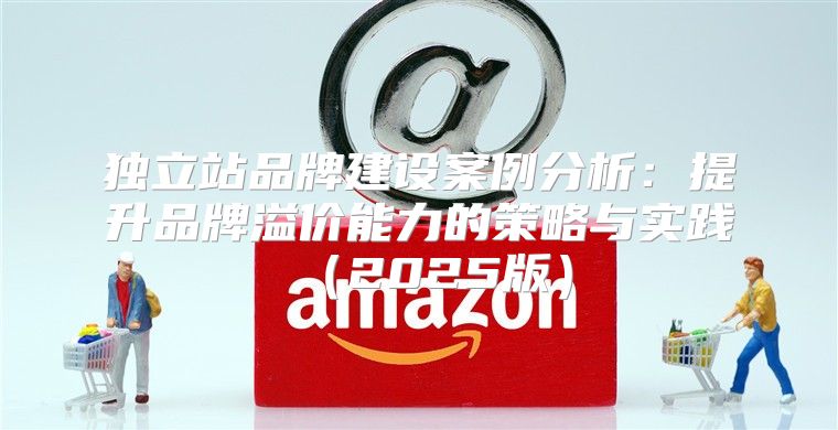 独立站品牌建设案例分析：提升品牌溢价能力的策略与实践2025版