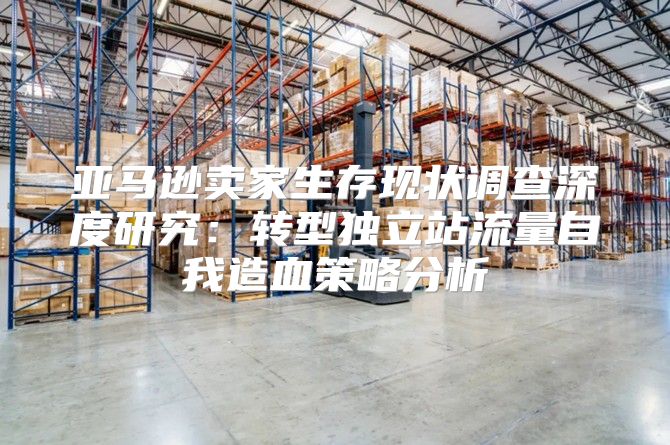 亚马逊卖家生存现状调查深度研究：转型独立站流量自我造血策略分析