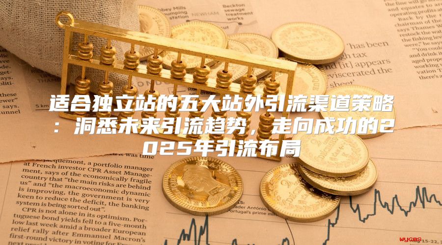 适合独立站的五大站外引流渠道策略：洞悉未来引流趋势，走向成功的2025年引流布局