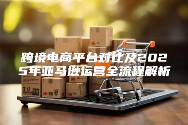 跨境电商平台对比及2025年亚马逊运营全流程解析