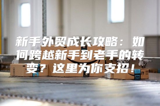 新手外贸成长攻略：如何跨越新手到老手的转变？这里为你支招！