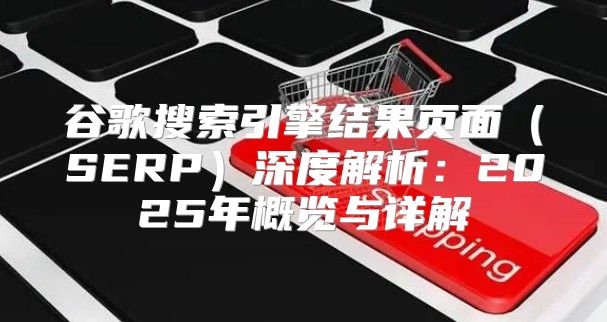 谷歌搜索引擎结果页面SERP深度解析：2025年概览与详解