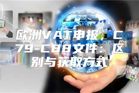 欧洲VAT申报，C79-C88文件：区别与获取方式