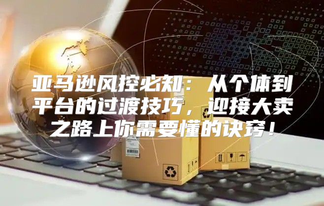 亚马逊风控必知：从个体到平台的过渡技巧，迎接大卖之路上你需要懂的诀窍！