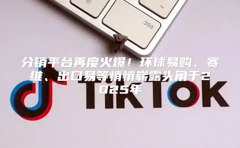 分销平台再度火爆！环球易购、赛维、出口易等悄悄崭露头角于2025年