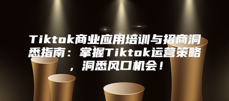 Tiktok商业应用培训与招商洞悉指南：掌握Tiktok运营策略，洞悉风口机会！