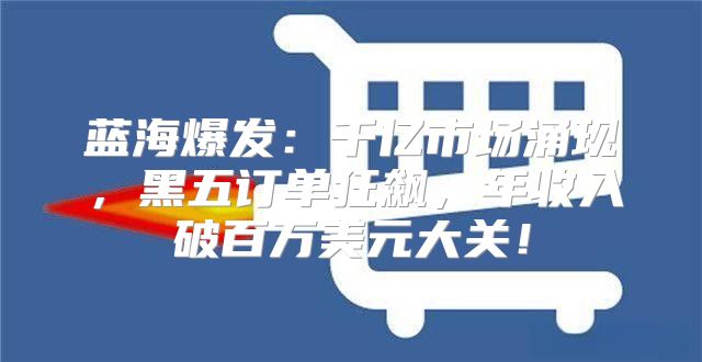 蓝海爆发：千亿市场涌现，黑五订单狂飙，年收入破百万美元大关！