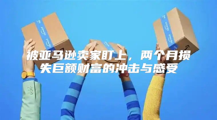 被亚马逊卖家盯上，两个月损失巨额财富的冲击与感受