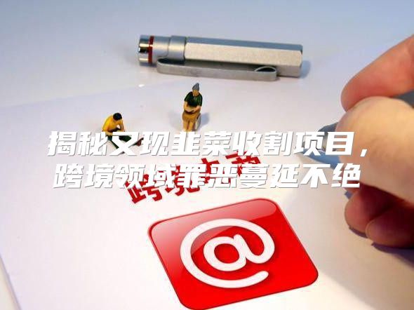 揭秘又现韭菜收割项目，跨境领域罪恶蔓延不绝