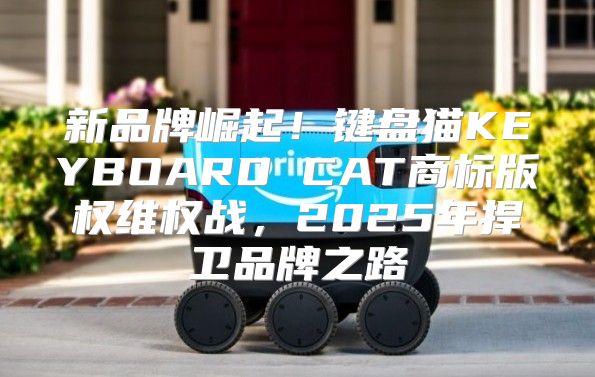 新品牌崛起！键盘猫KEYBOARD CAT商标版权维权战，2025年捍卫品牌之路