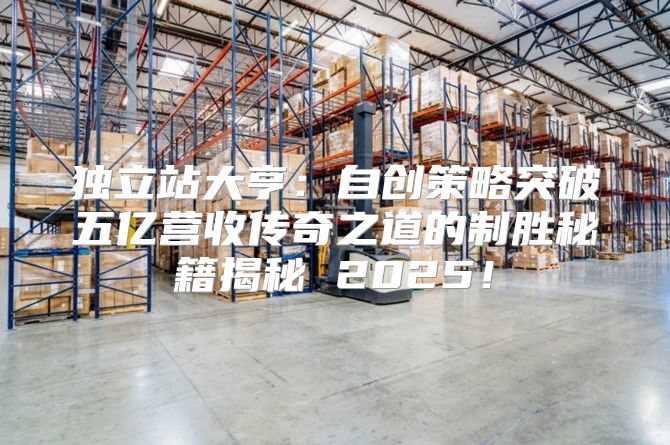 独立站大亨：自创策略突破五亿营收传奇之道的制胜秘籍揭秘 2025！