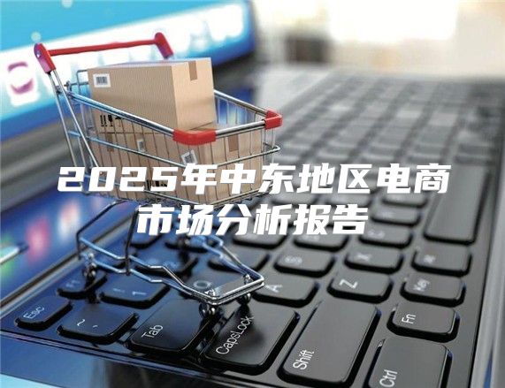 2025年中东地区电商市场分析报告