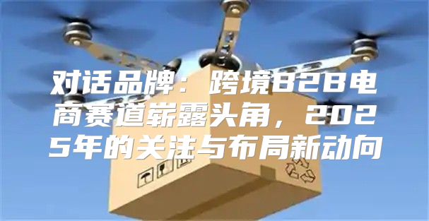 对话品牌：跨境B2B电商赛道崭露头角，2025年的关注与布局新动向