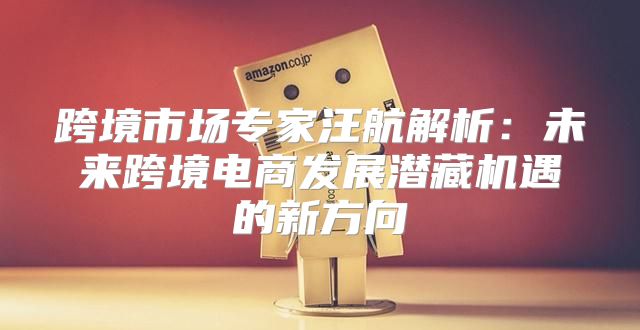 跨境市场专家汪航解析：未来跨境电商发展潜藏机遇的新方向