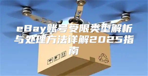 eBay账号受限类型解析与处理方法详解2025指南
