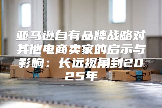 亚马逊自有品牌战略对其他电商卖家的启示与影响：长远视角到2025年