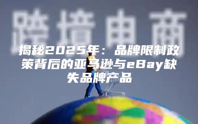 揭秘2025年：品牌限制政策背后的亚马逊与eBay缺失品牌产品