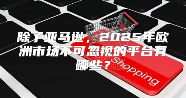 除了亚马逊，2025年欧洲市场不可忽视的平台有哪些？