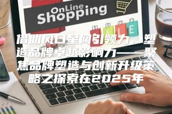 借助风口星网引领力，塑造品牌卓越影响力——聚焦品牌塑造与创新升级策略之探索在2025年