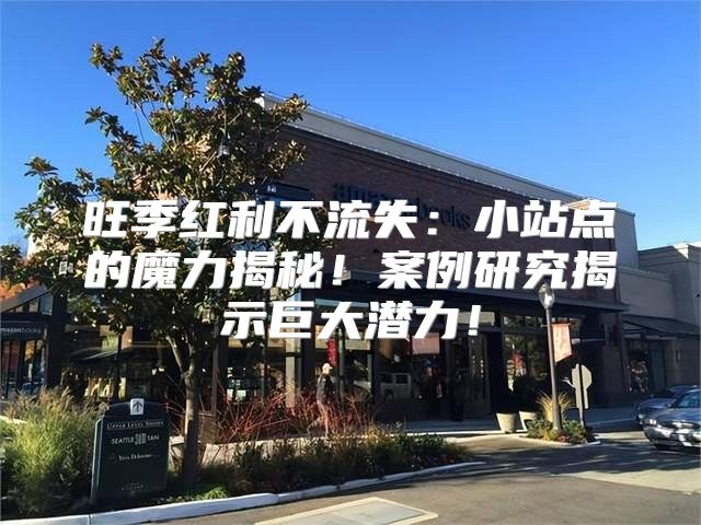 旺季红利不流失：小站点的魔力揭秘！案例研究揭示巨大潜力！