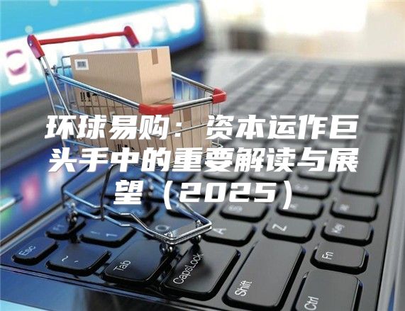 环球易购：资本运作巨头手中的重要解读与展望2025