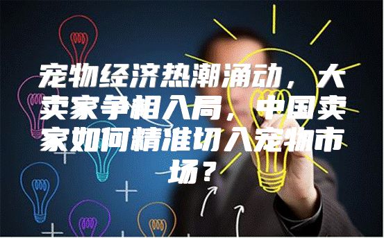 宠物经济热潮涌动，大卖家争相入局，中国卖家如何精准切入宠物市场？