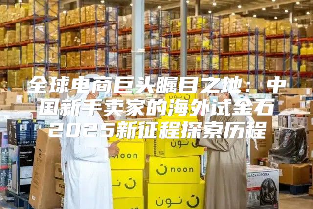 全球电商巨头瞩目之地：中国新手卖家的海外试金石2025新征程探索历程
