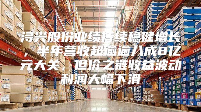 浔兴股份业绩持续稳健增长，半年营收超逾逾八成8亿元大关，但价之链收益波动利润大幅下滑