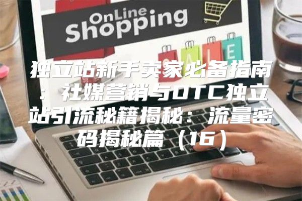 独立站新手卖家必备指南：社媒营销与DTC独立站引流秘籍揭秘：流量密码揭秘篇16