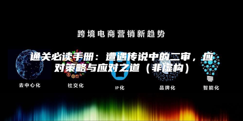 通关必读手册：遭遇传说中的二审，应对策略与应对之道非虚构