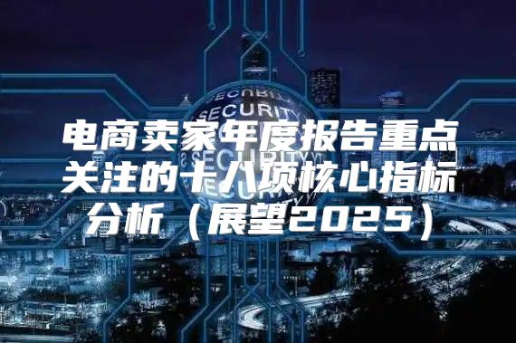 电商卖家年度报告重点关注的十八项核心指标分析展望2025