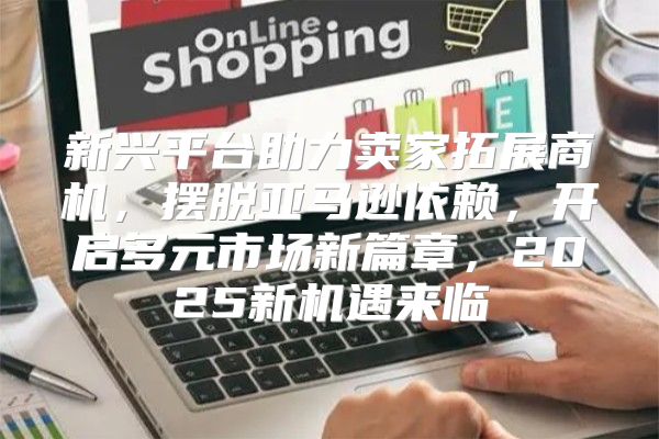 新兴平台助力卖家拓展商机，摆脱亚马逊依赖，开启多元市场新篇章，2025新机遇来临