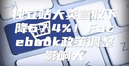 独立站大卖营收下降67.4%！Facebook政策调整影响大