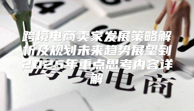 跨境电商卖家发展策略解析及规划未来趋势展望到2025年重点思考内容详解